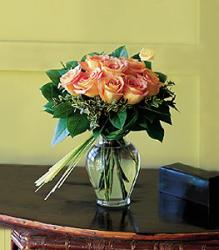 Perfectly Peachy Roses