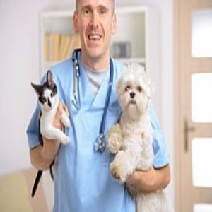 Low-Cost Vaccines and Other Preventive Care