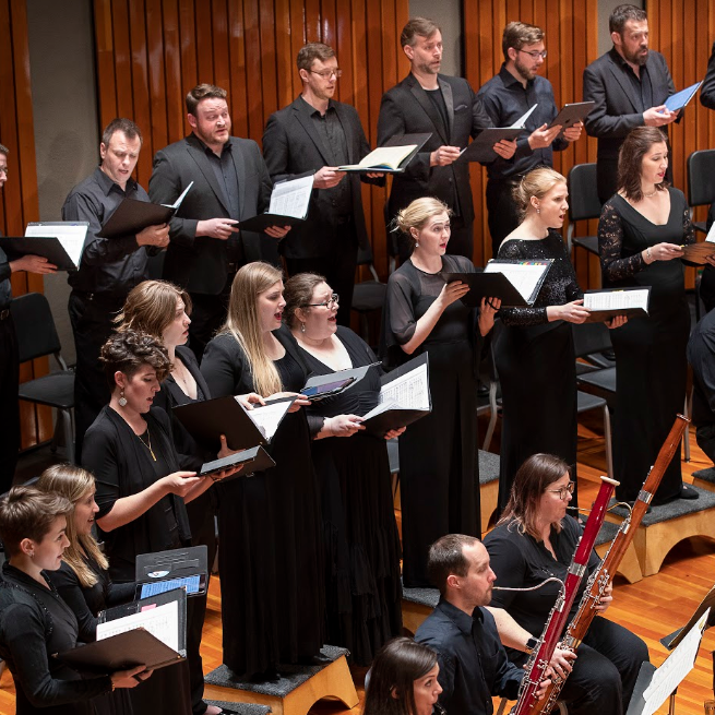 Professional Chamber Choir, Orchestra & Instrumentalists 