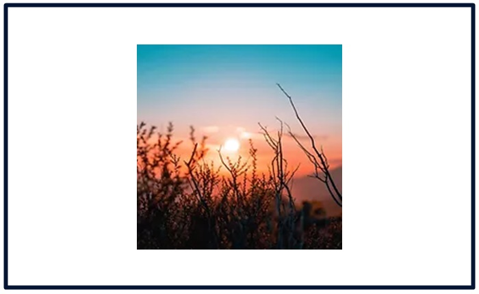 The Art of Healing Workshop