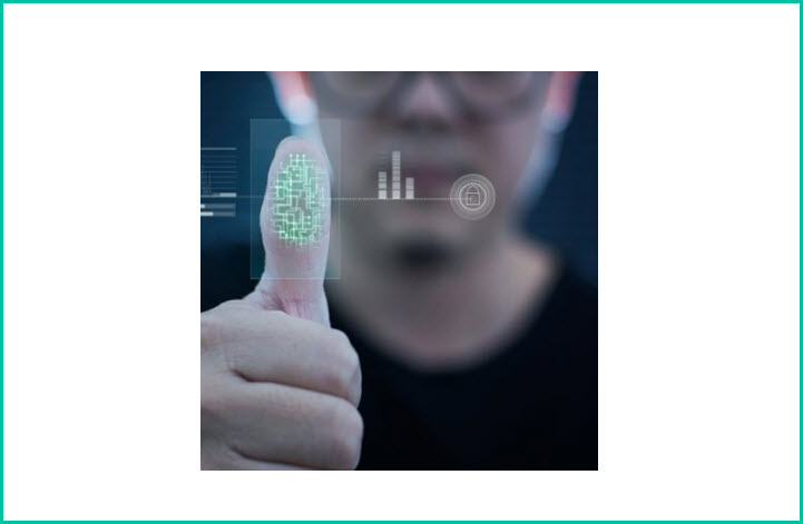Security and Digital Protection Services