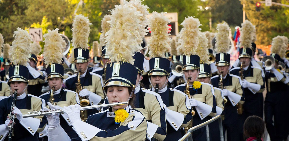 Armed Forces Torchlight Parade