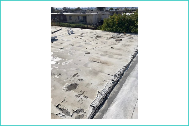 Book a Free Consultation