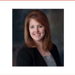 Insurance Agent 