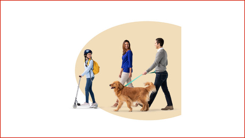 Pet Insurance