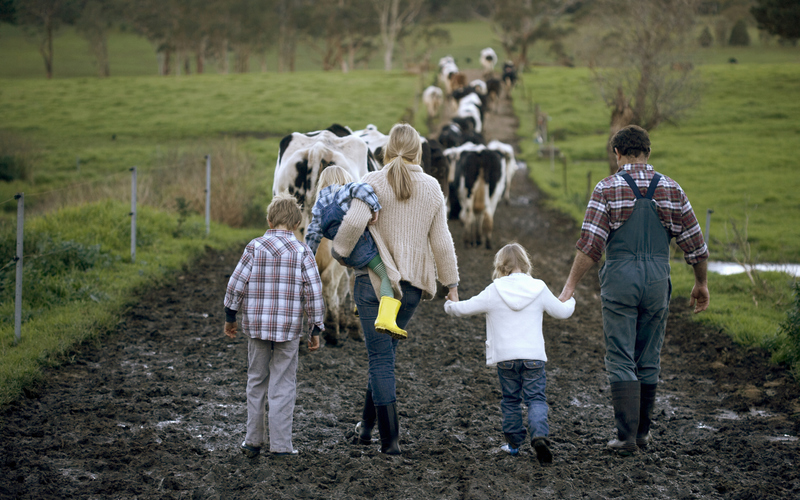 Family Farm Packages