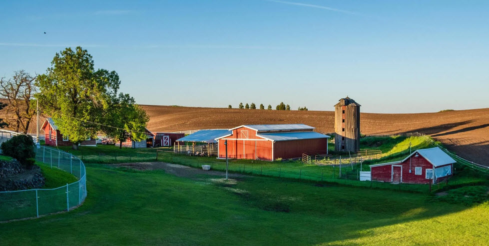  Agricultural