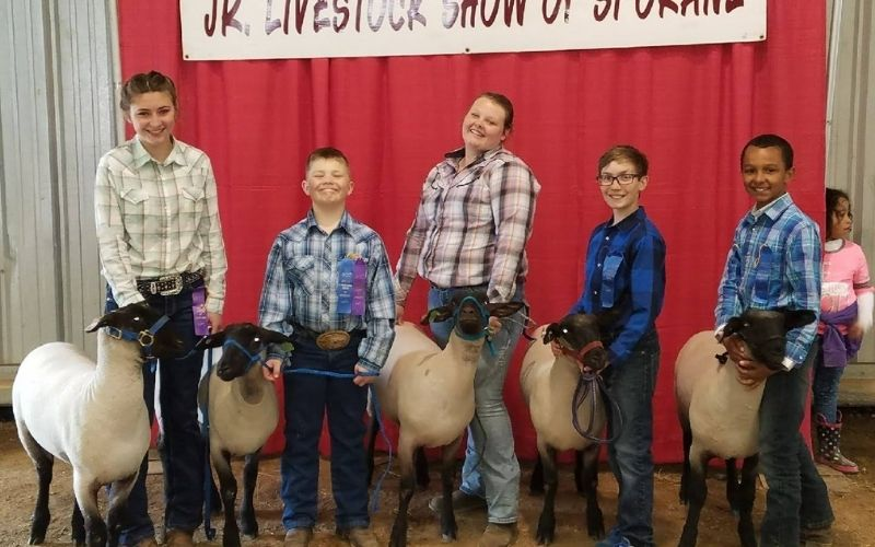 Marketing Livestock