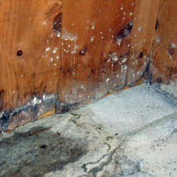 Slab Leak