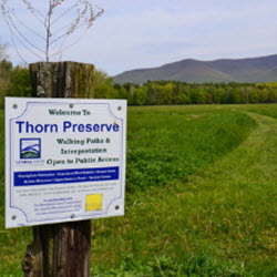 Thorn Preserve