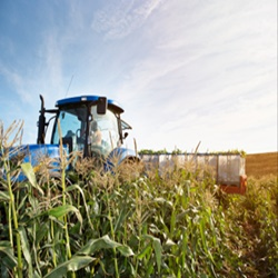 Agricultural, Chemical and Industrial Materials