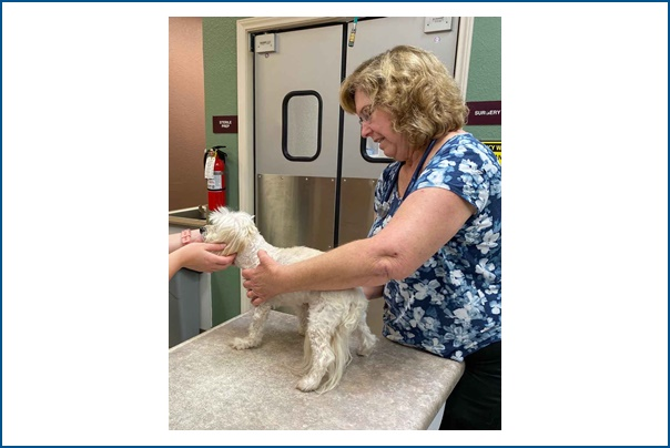 Wellness & Vaccinations
