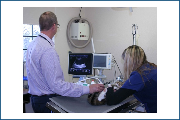 Diagnostics