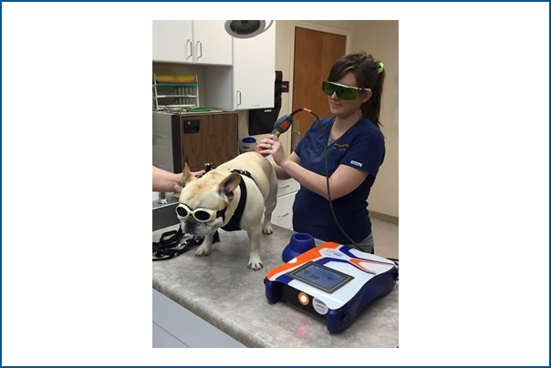 Laser Therapy