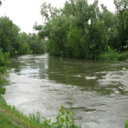 Water Department
