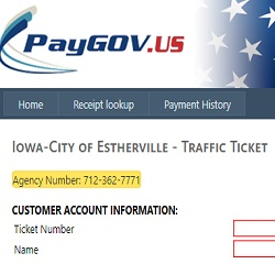 Pay Parking Ticket 