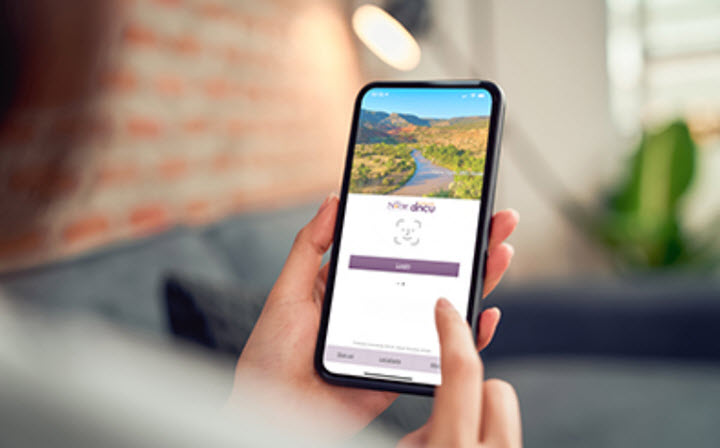 Mobile and Online Banking