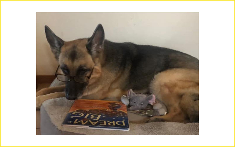 Reading With Shepherd Daisy