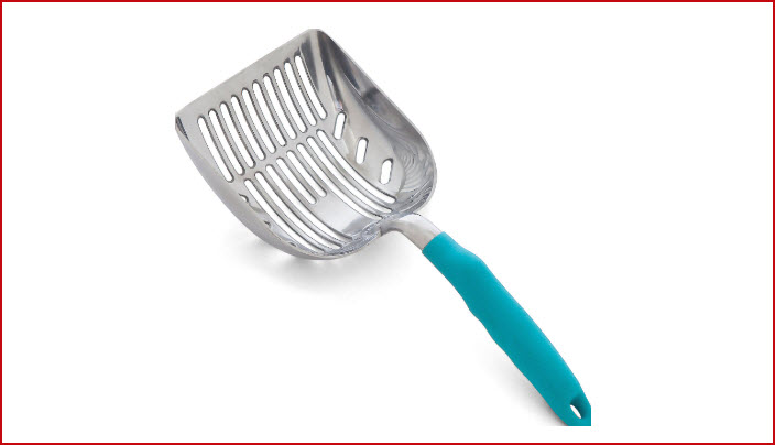  Litter & Accessories