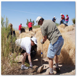Community Service Projects