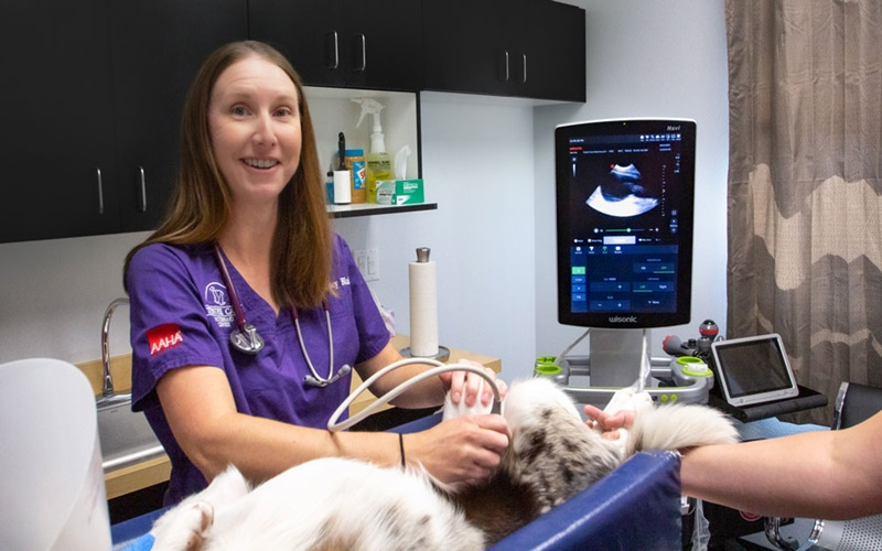 Diagnostic Capabilities