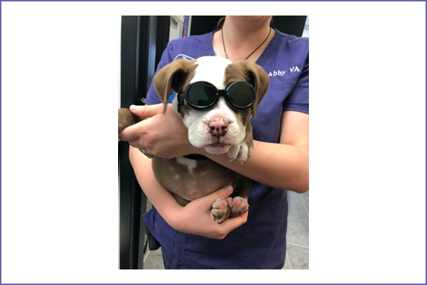Laser Therapy