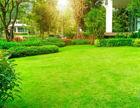 Complete Lawn Care