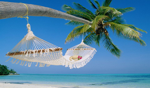 Travel & Tourism