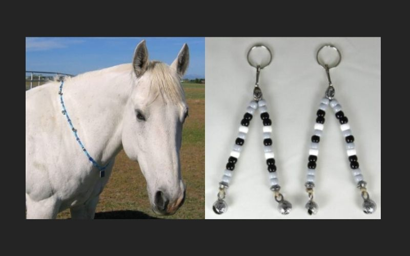 SteedBeads Rhythm Beads (for horses),