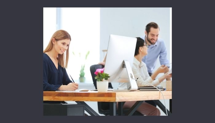 IT Systems Consulting Services