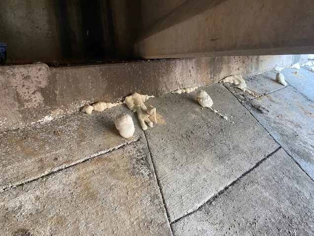Polyurethane Services