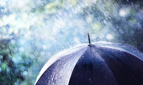 Weather
