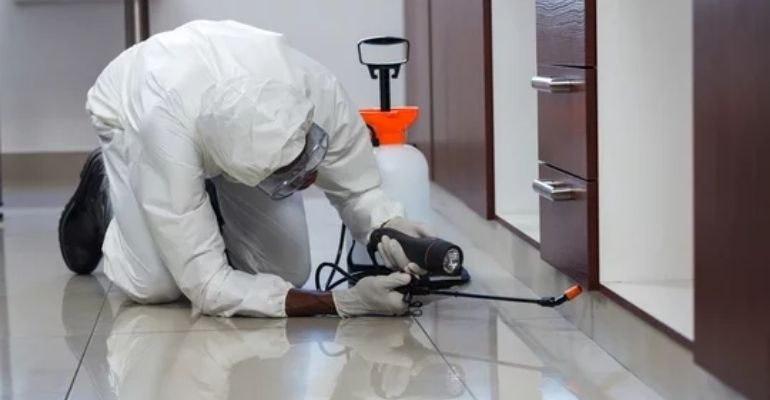 Pest Treatment with Warranty