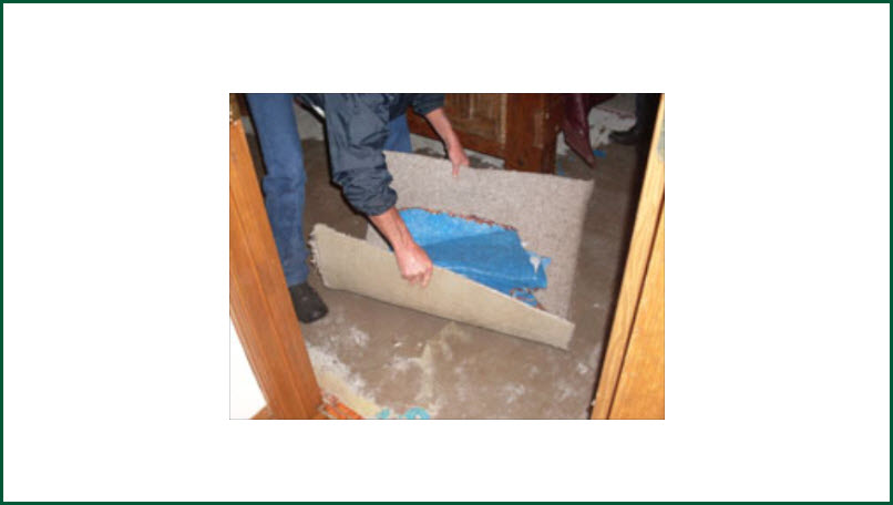  Flood Restoration and Water Damage
