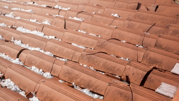 Hail Damage