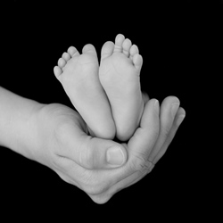 Adoption