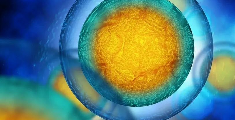 Thermo-Regulation