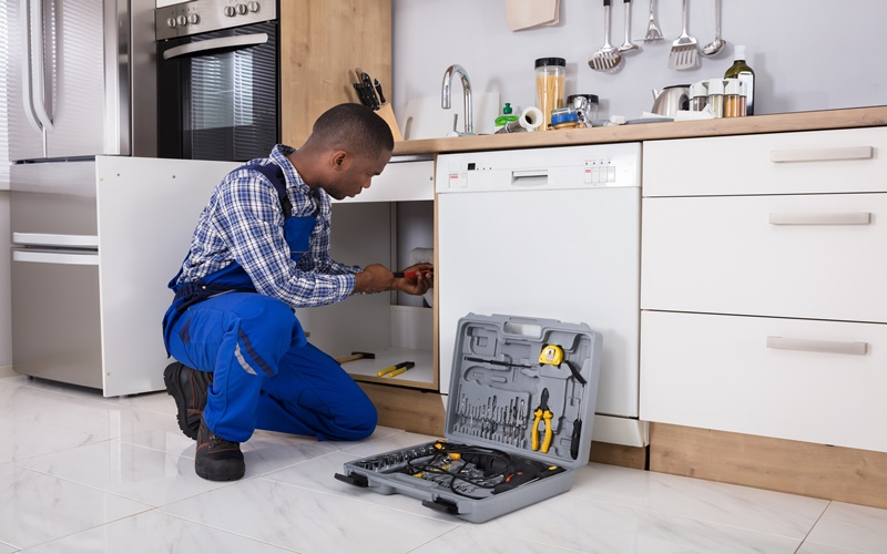 Plumbing Leaks or Issues