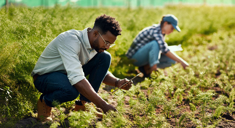 Agriculture Services