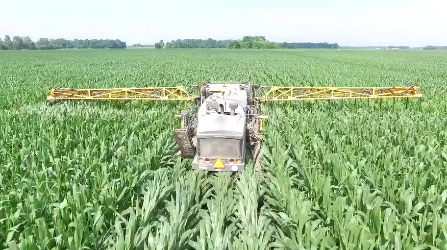 Corn Farm