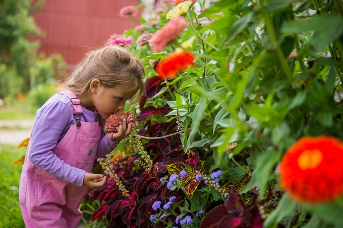 Gardening