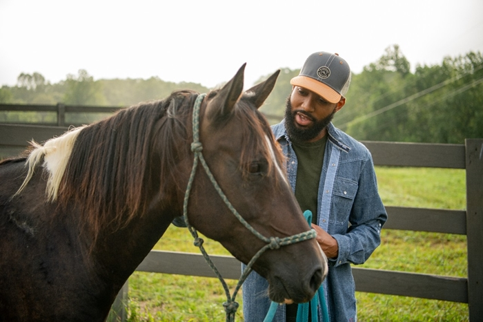 Horse Feed & Health
