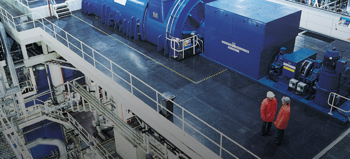 Nuclear Power Services