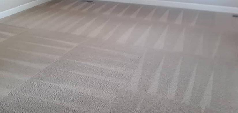 Carpet Cleaning