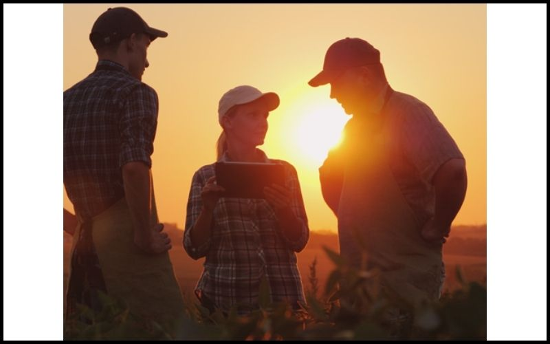 Worker's Compensation