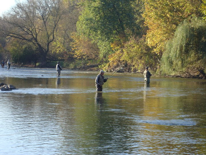 Fly Fishing