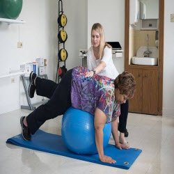 Physical and Occupational Therapy