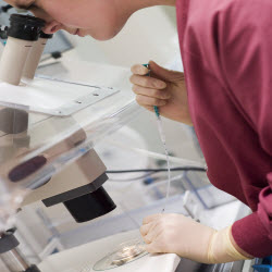 Laboratory Services