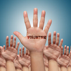 Volunteer Opportunities