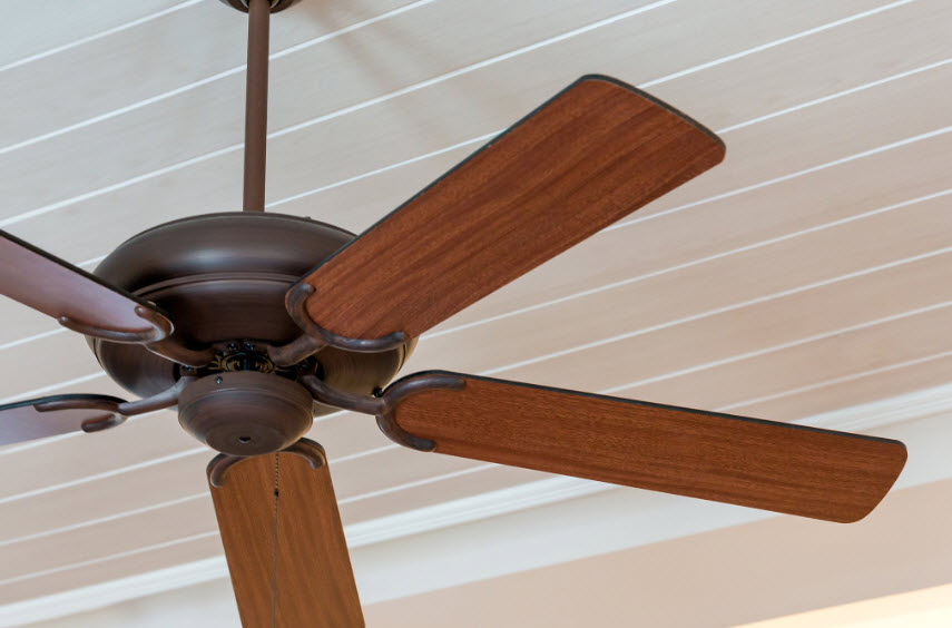 Lighting & Ceiling Fans